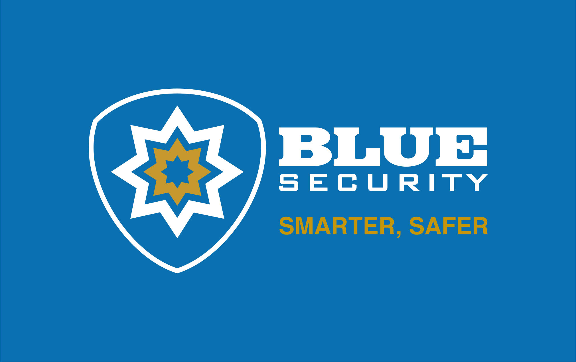 Blue Security Logo